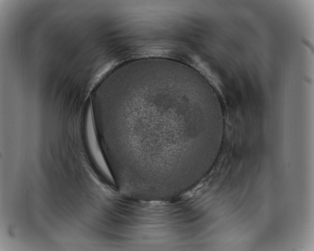 X0000098150107200804241749