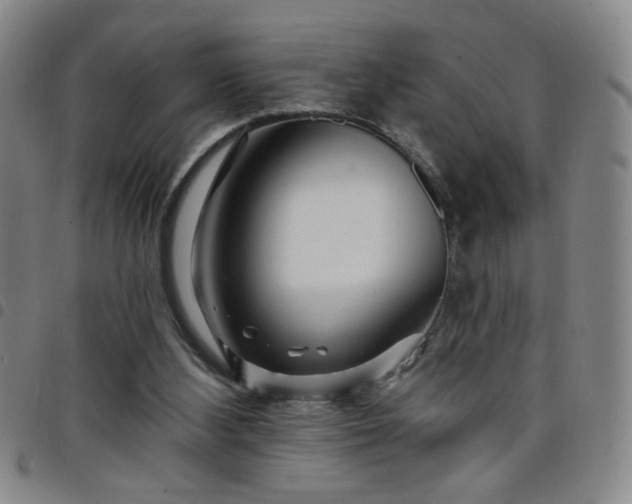 X0000098150108200804241749
