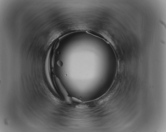 X0000098150109200804241749