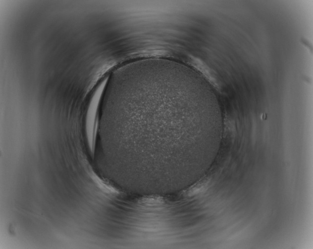 X0000098150110200804241749