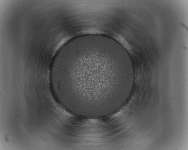 X0000098150111200804241749