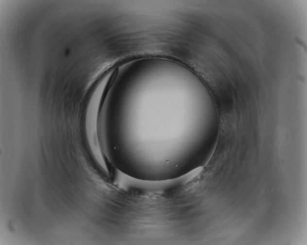 X0000098150112200804241749