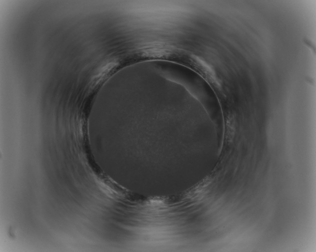 X0000098150114200804241749