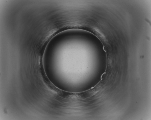 X0000098150115200804241749