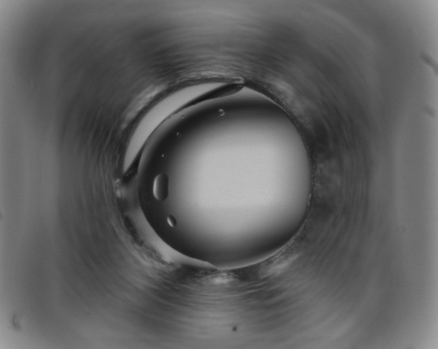 X0000098150116200804241749