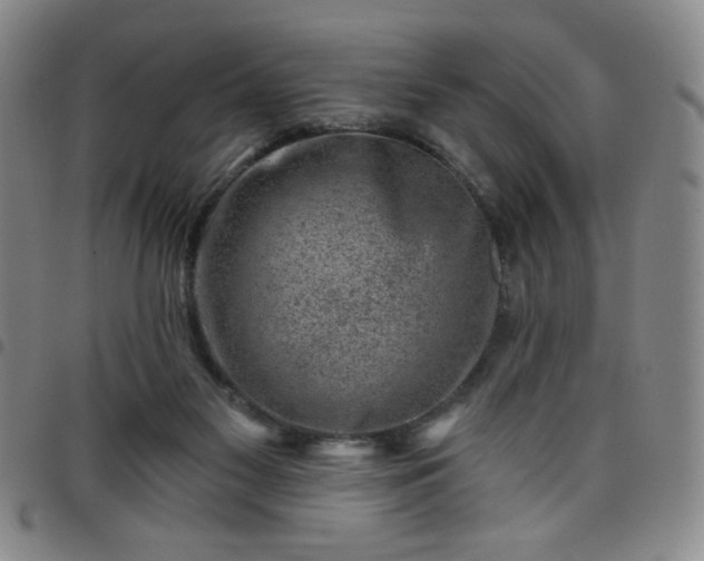 X0000098150117200804241749