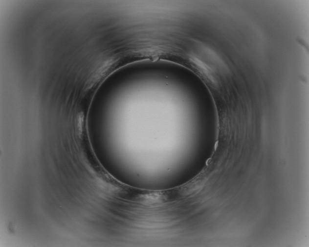X0000098150118200804241749