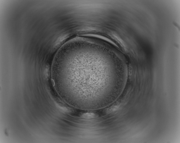 X0000098150119200804241749