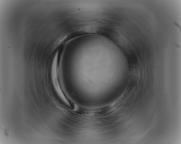 X0000098150120200804241749