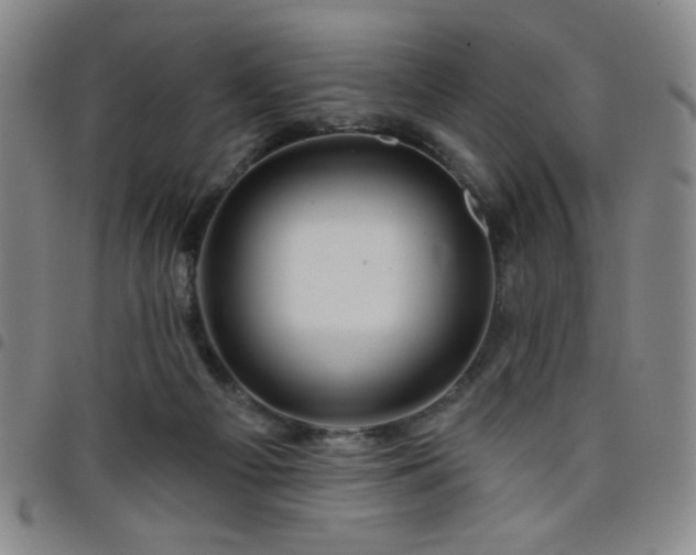 X0000098150121200804241749