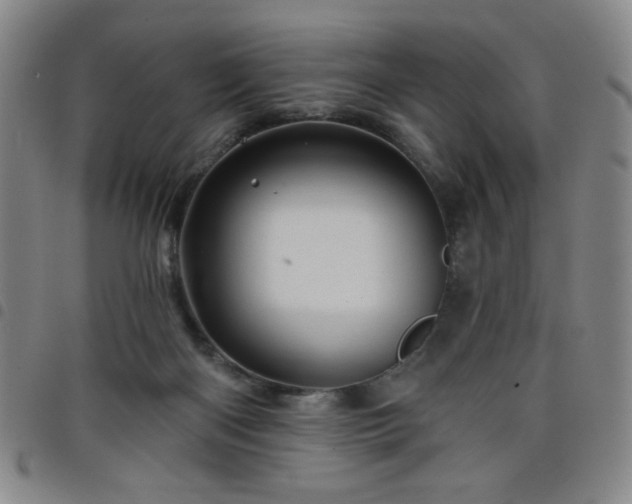X0000098150122200804241749