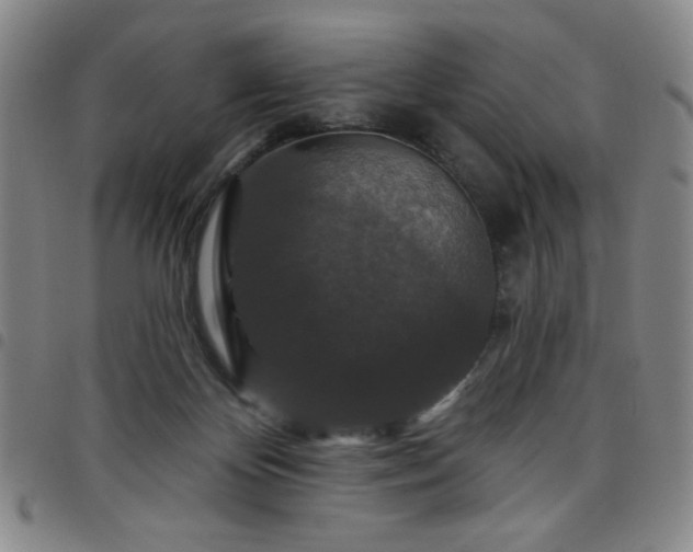 X0000098150124200804241749