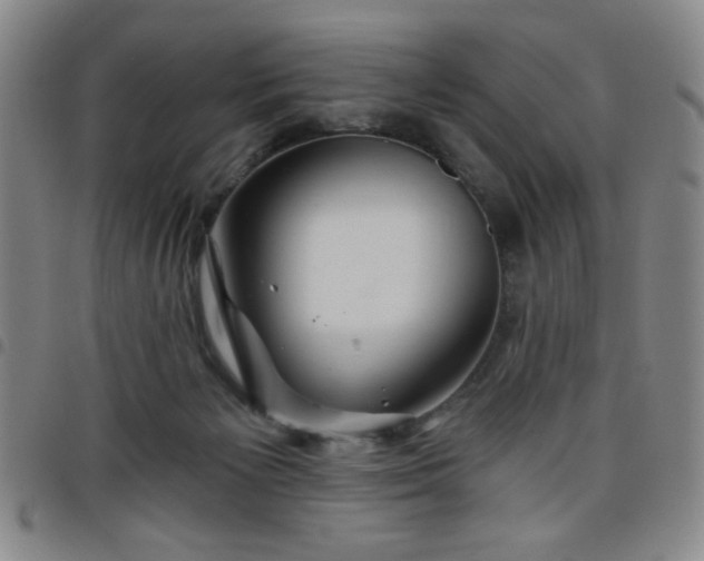 X0000098150125200804241749