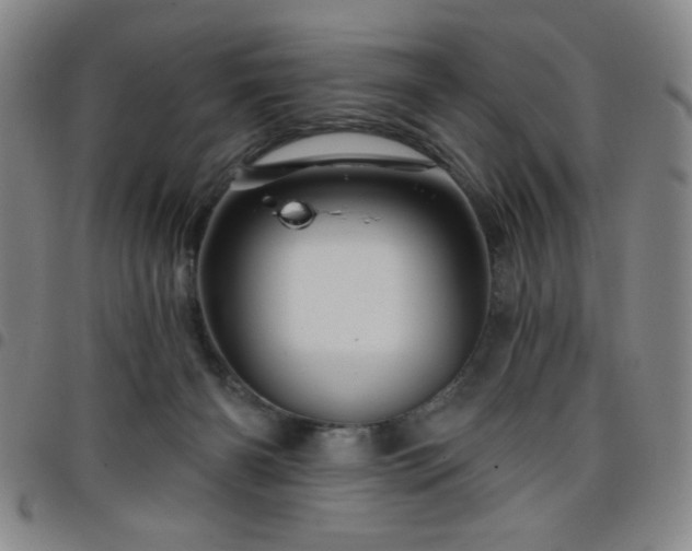 X0000098150126200804241749