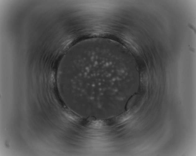 X0000098150127200804241749