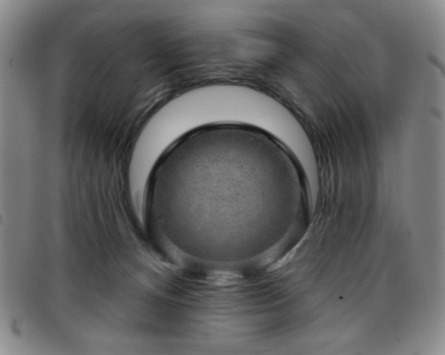 X0000098150128200804241749
