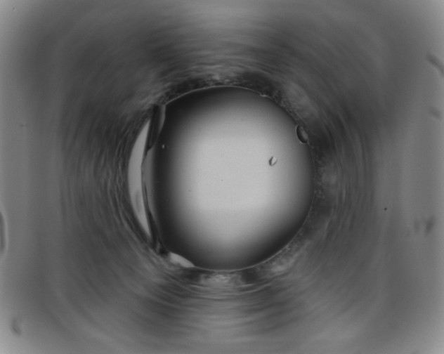 X0000098150129200804241749