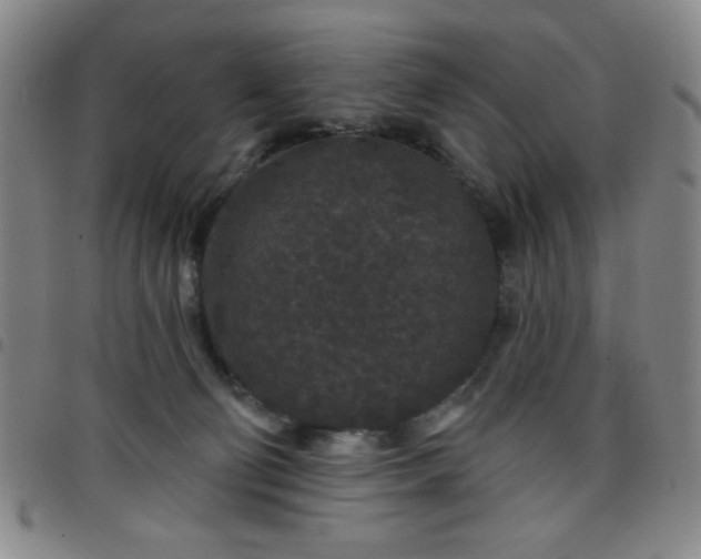 X0000098150130200804241749