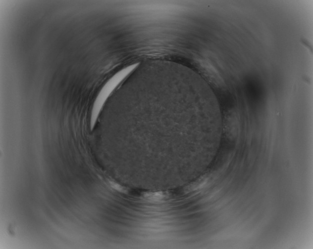 X0000098150131200804241749
