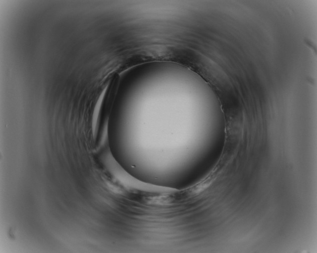 X0000098150132200804241749