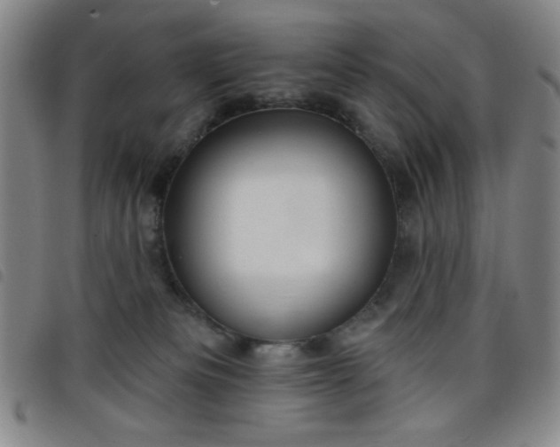 X0000098150133200804241749