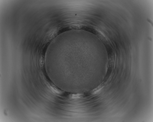 X0000098150134200804241749
