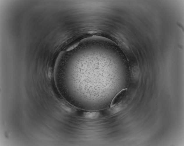 X0000098150135200804241749
