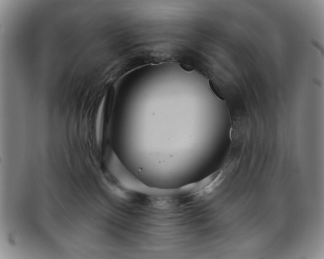 X0000098150136200804241749