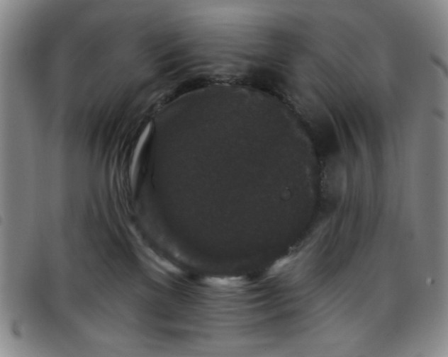 X0000098150137200804241749