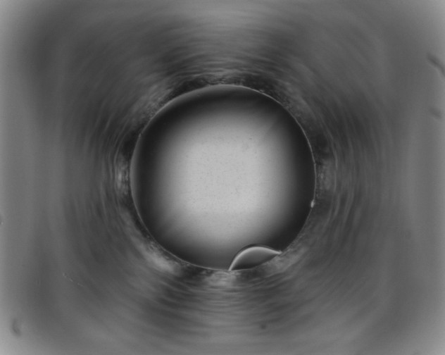 X0000098150138200804241749