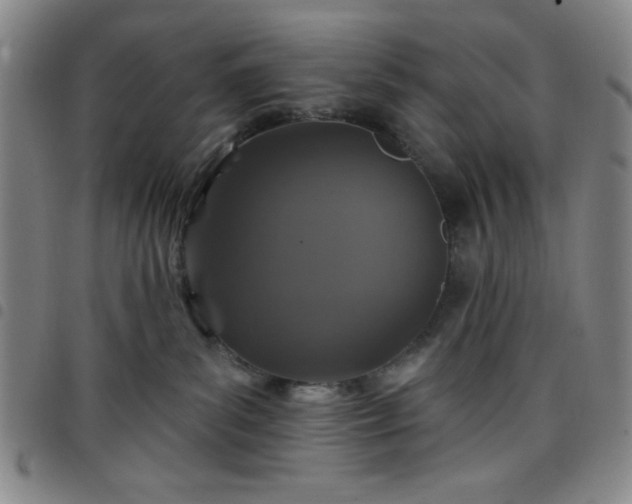 X0000098150139200804241749