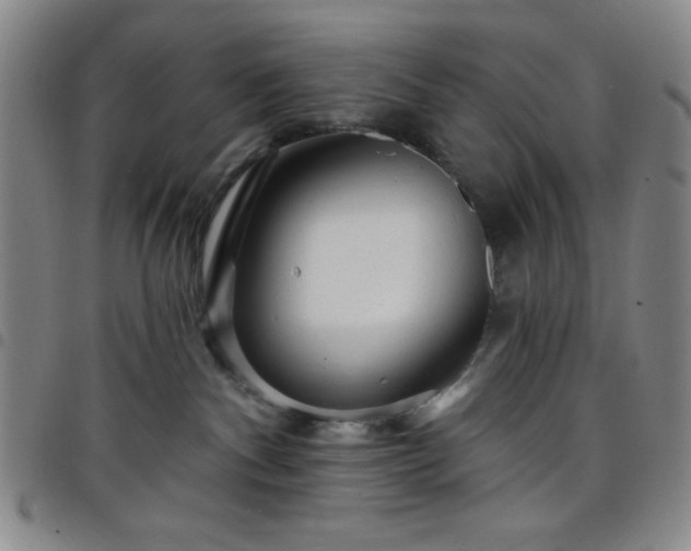 X0000098150140200804241749