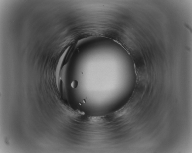 X0000098150141200804241749