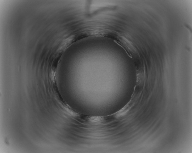 X0000098150142200804241749