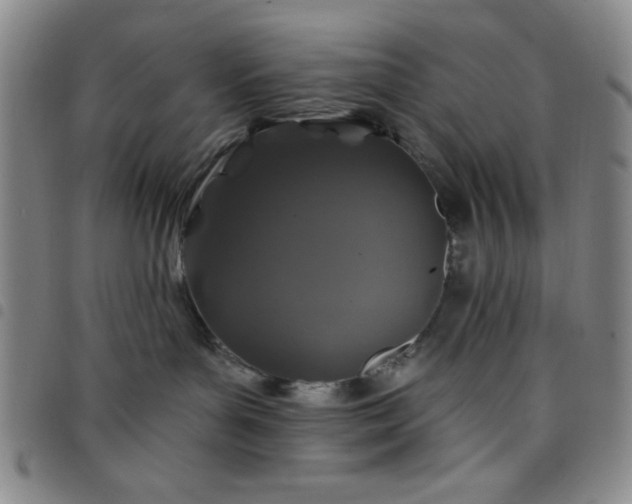X0000098150143200804241749