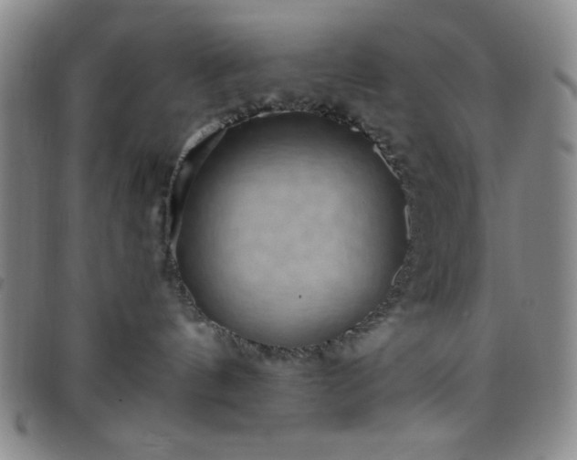 X0000098150144200804241749