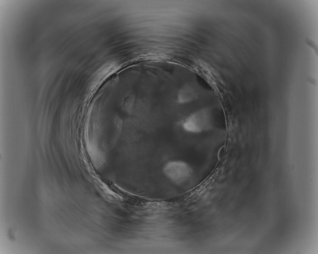 X0000098150145200804241748