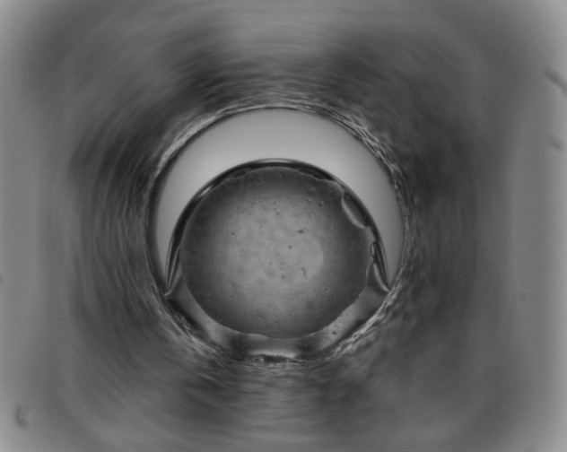 X0000098150146200804241748