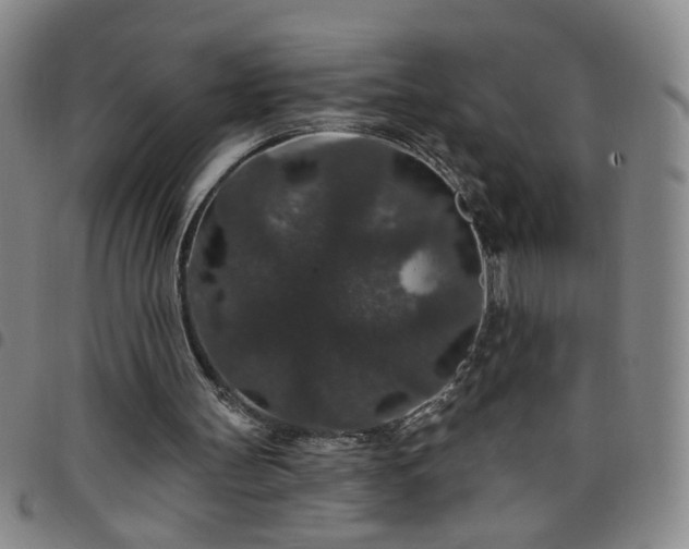 X0000098150147200804241748