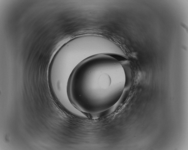 X0000098150148200804241748