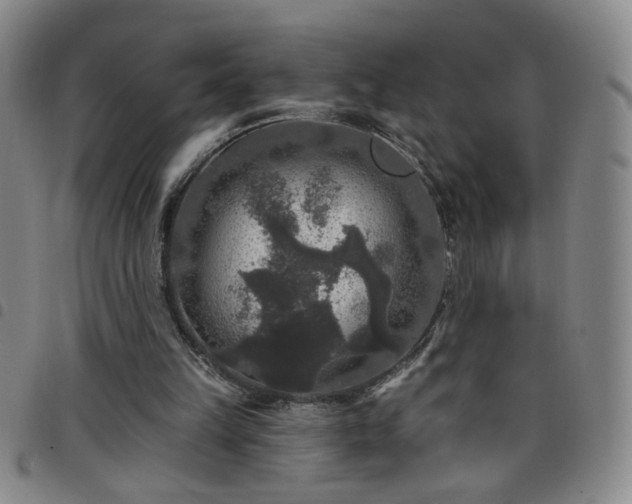 X0000098150149200804241748