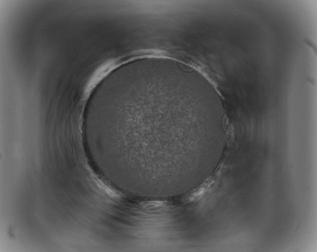X0000098150151200804241748