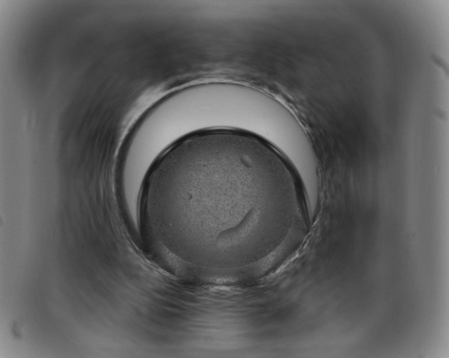 X0000098150152200804241748