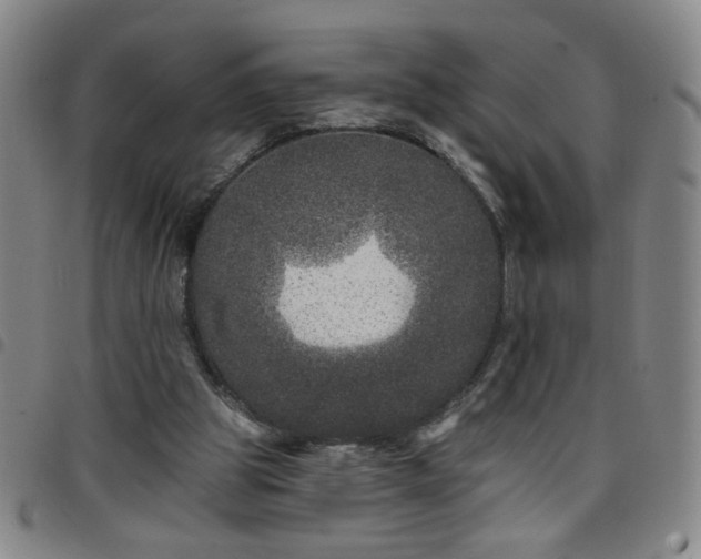 X0000098150153200804241748