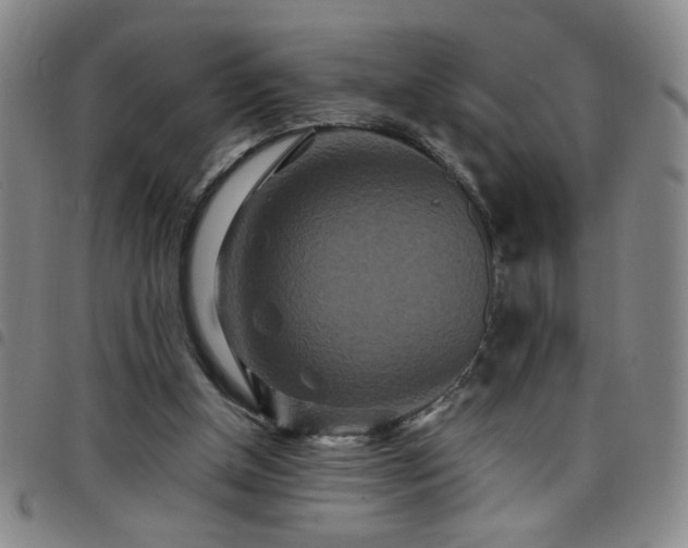 X0000098150154200804241748