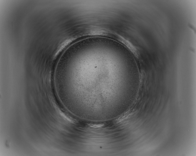 X0000098150155200804241748
