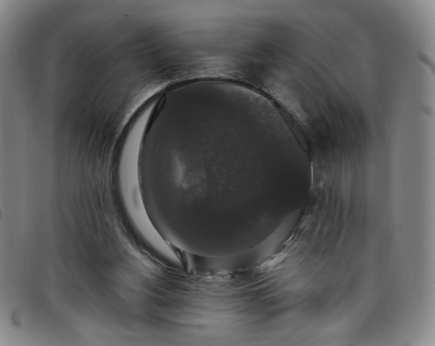 X0000098150156200804241748