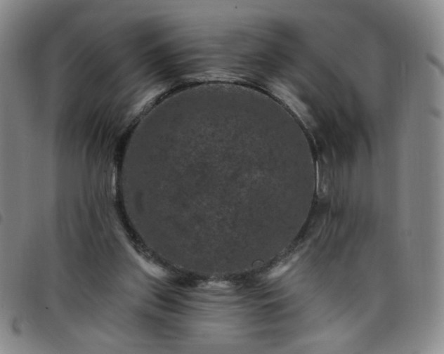 X0000098150157200804241748