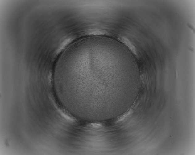 X0000098150159200804241748