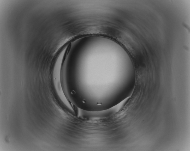 X0000098150160200804241748